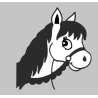 ozosnel raamsticker