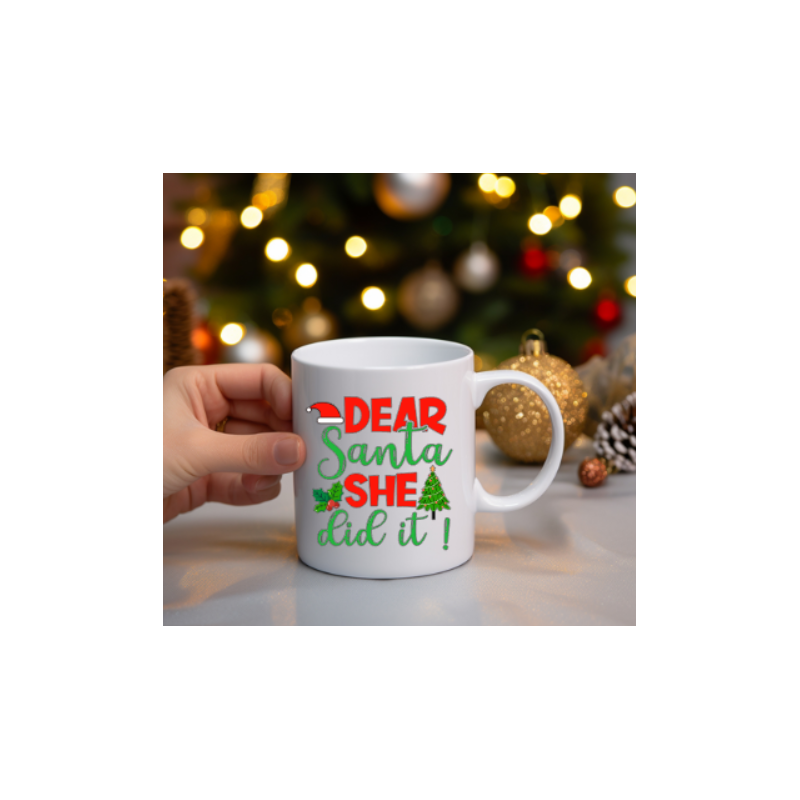 Dear santa she did it